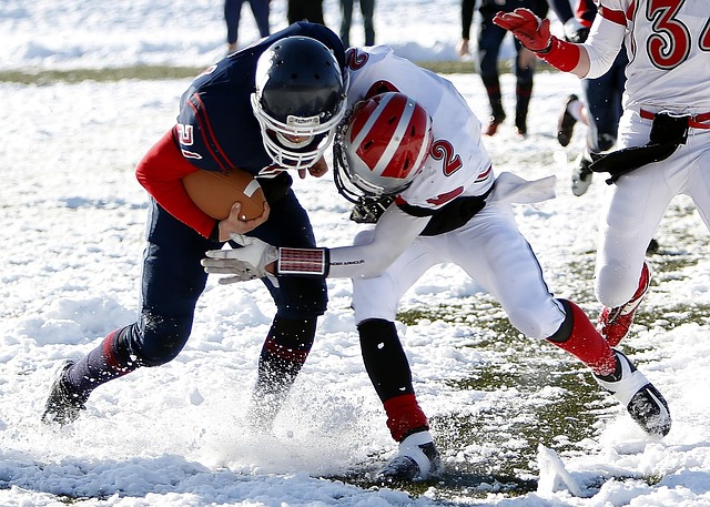 的世界里 的世界里